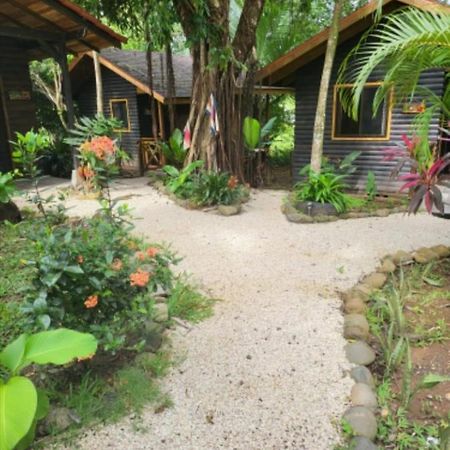 パリタ Casa El Colibri Bed & Breakfast エクステリア 写真