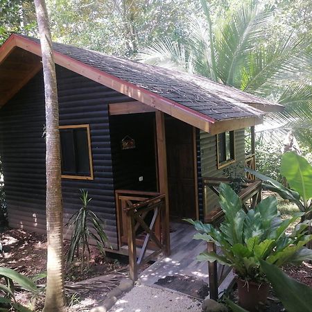 パリタ Casa El Colibri Bed & Breakfast 部屋 写真