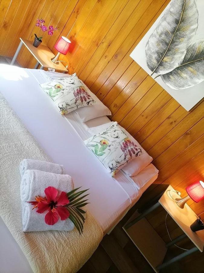 パリタ Casa El Colibri Bed & Breakfast エクステリア 写真