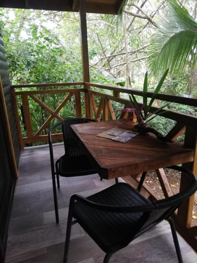 パリタ Casa El Colibri Bed & Breakfast エクステリア 写真