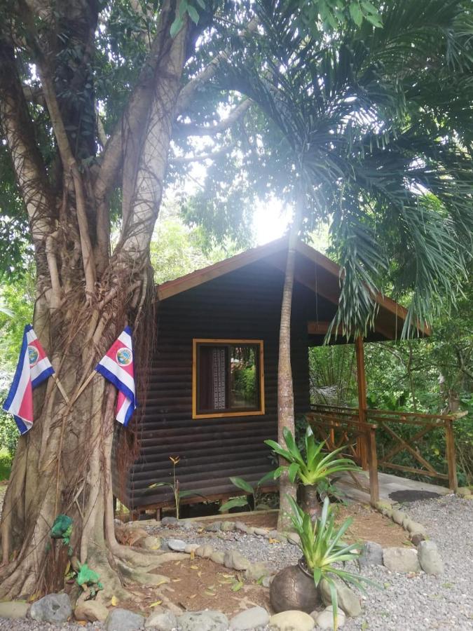 パリタ Casa El Colibri Bed & Breakfast エクステリア 写真