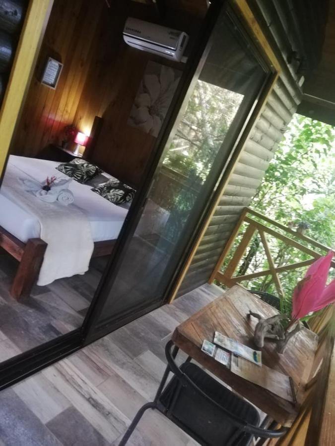 パリタ Casa El Colibri Bed & Breakfast エクステリア 写真