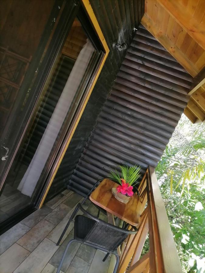 パリタ Casa El Colibri Bed & Breakfast エクステリア 写真