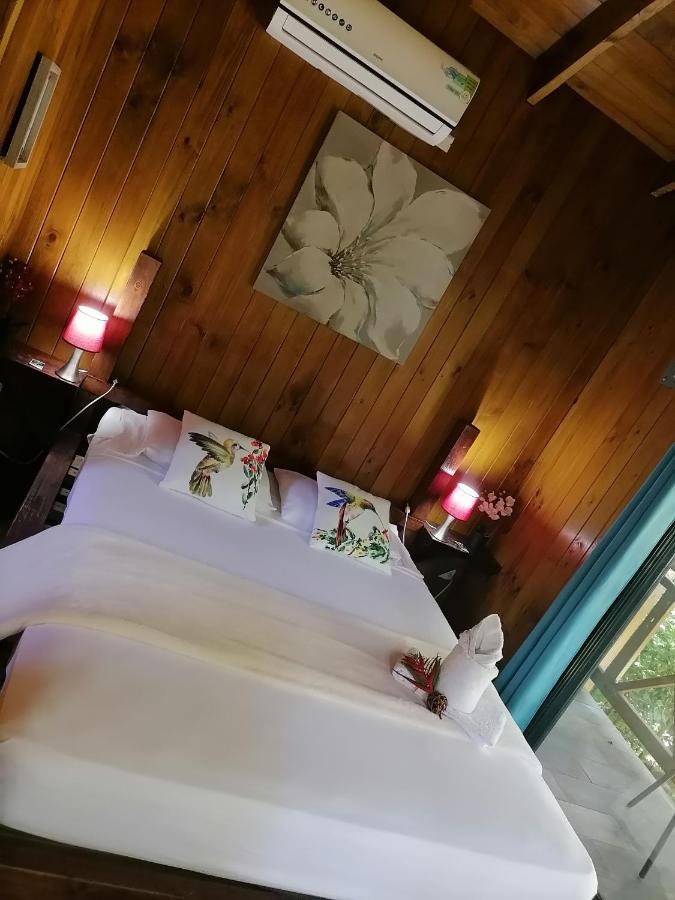 パリタ Casa El Colibri Bed & Breakfast エクステリア 写真