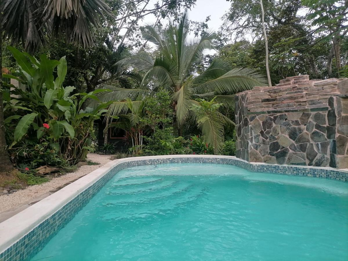 パリタ Casa El Colibri Bed & Breakfast エクステリア 写真