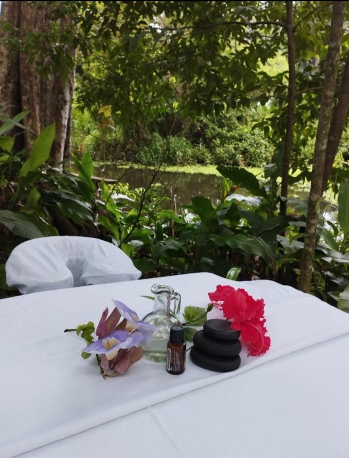 パリタ Casa El Colibri Bed & Breakfast エクステリア 写真
