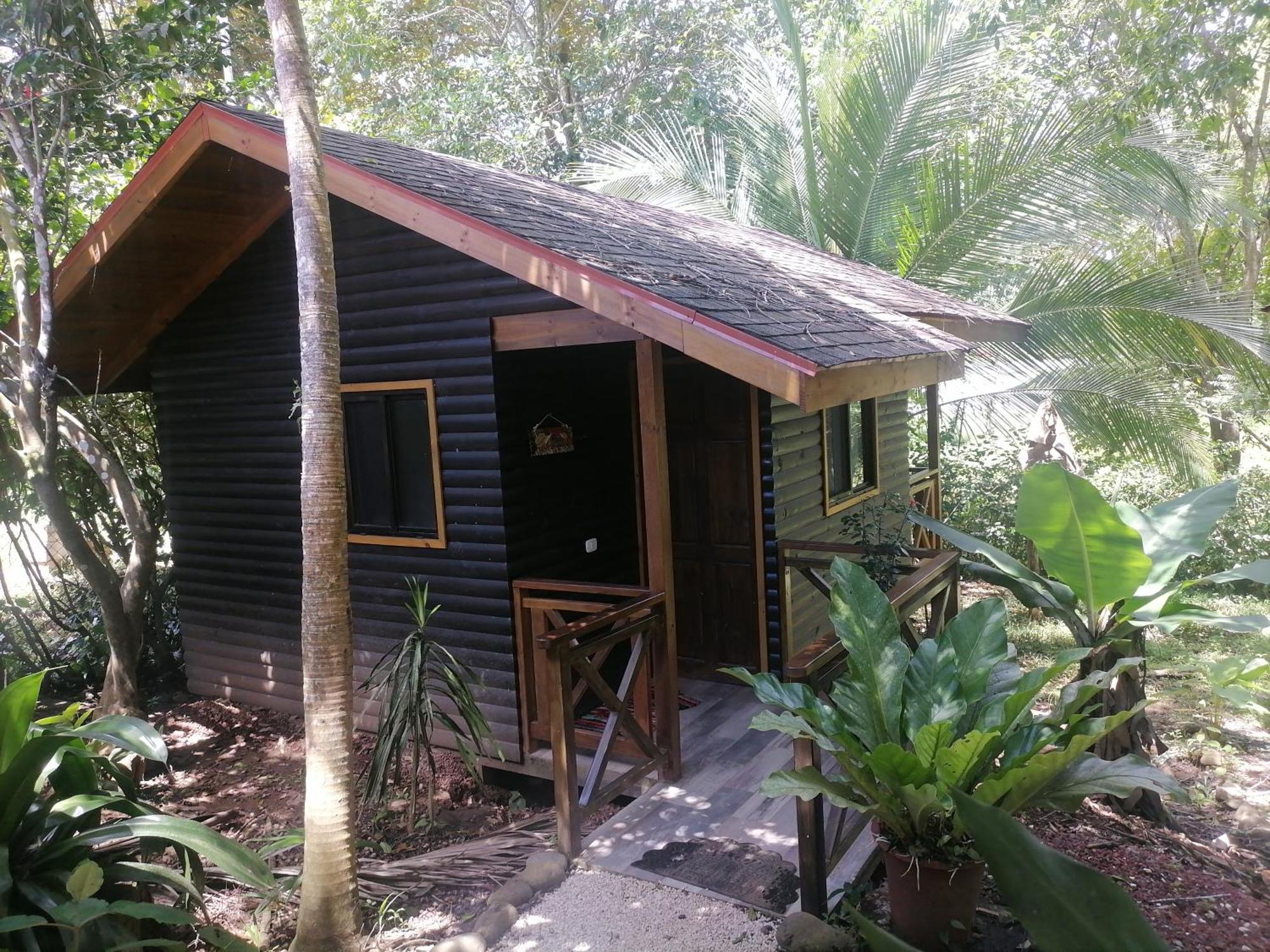 パリタ Casa El Colibri Bed & Breakfast 部屋 写真