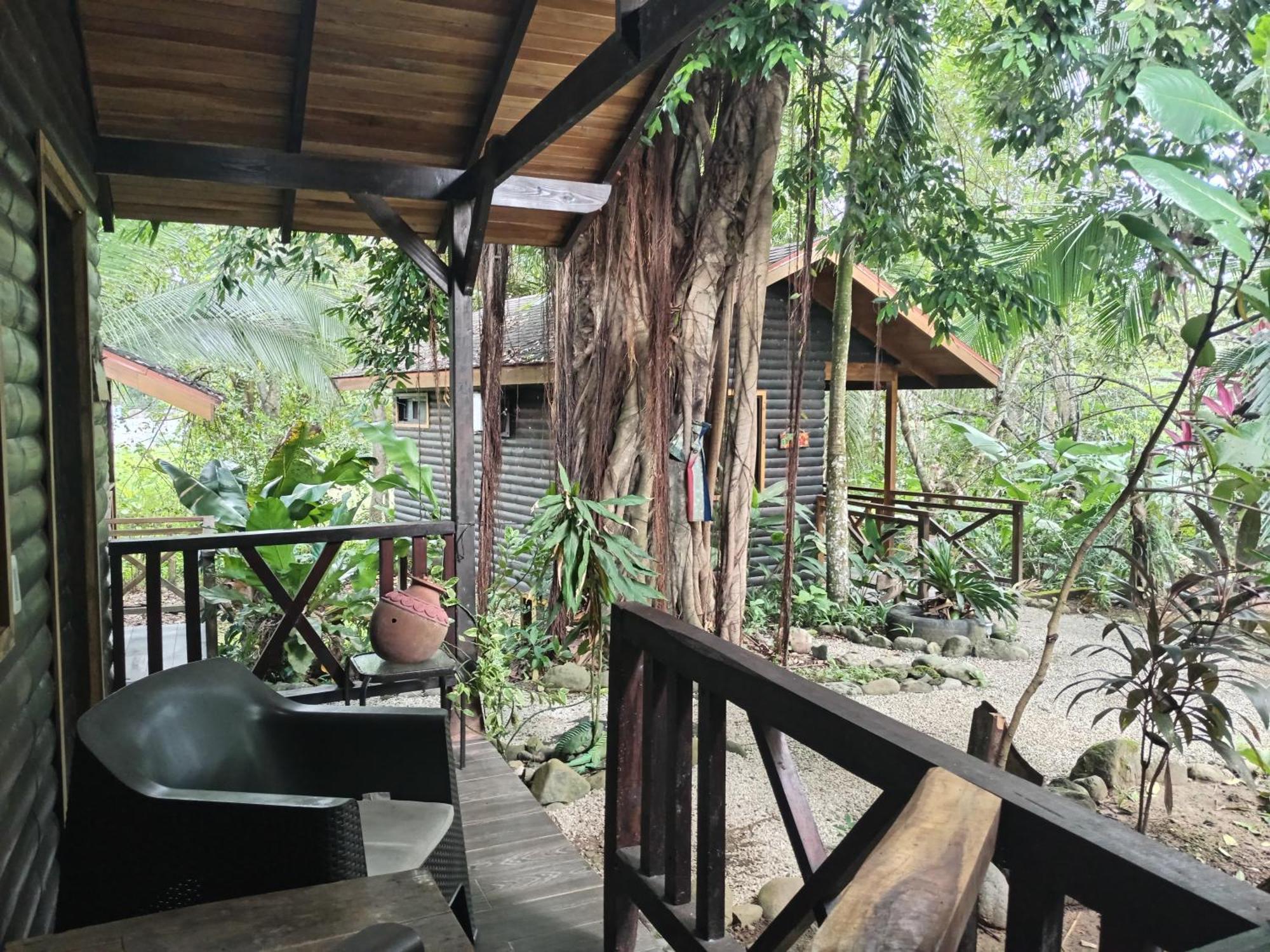 パリタ Casa El Colibri Bed & Breakfast エクステリア 写真